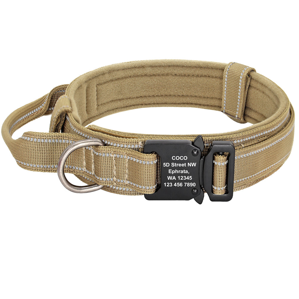 Skylight (alpha) Heavy-Duty Dog Collar
