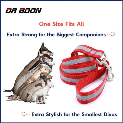 Da Boon Original Ultra Reflective Double-Sided Dog Leash