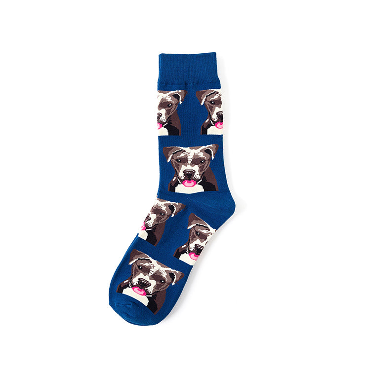 Skylight (beta) graphic pet socks