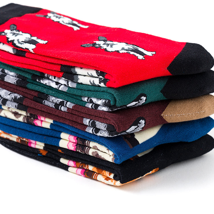 Skylight (beta) graphic pet socks